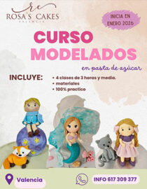 Curso DE MODELADOS - INICIO 15 DE ENERO- 4 CLASES